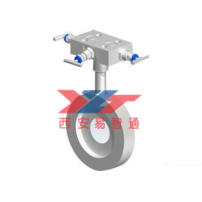  VT200F紧凑型孔板流量计-分体安装 